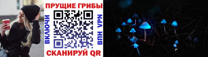Псилоцибиновые грибы Magic Shrooms  Стародуб 